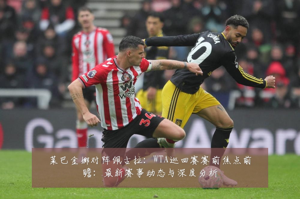 莱巴金娜对阵佩古拉:WTA巡回赛赛前焦点前瞻:最新赛事动态与深度分析