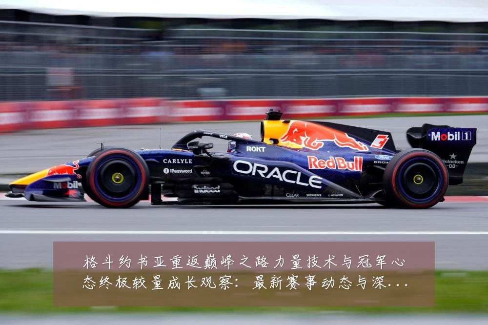 格斗约书亚重返巅峰之路力量技术与冠军心态终极较量成长观察:最新赛事动态与深度分析